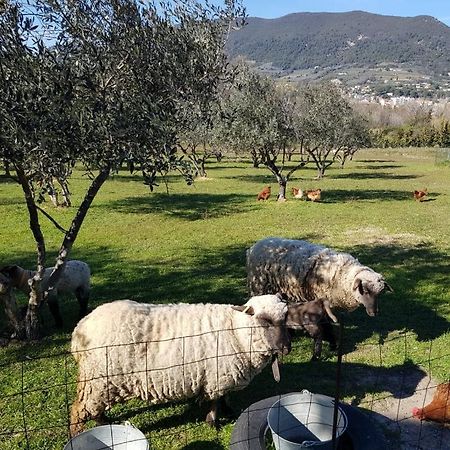 Studio En Campagne Dans Une Ferme Bio Nyons Exterior foto