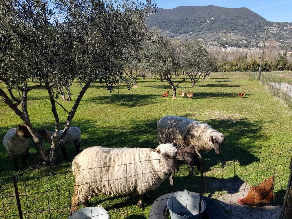 Studio En Campagne Dans Une Ferme Bio Nyons Exterior foto